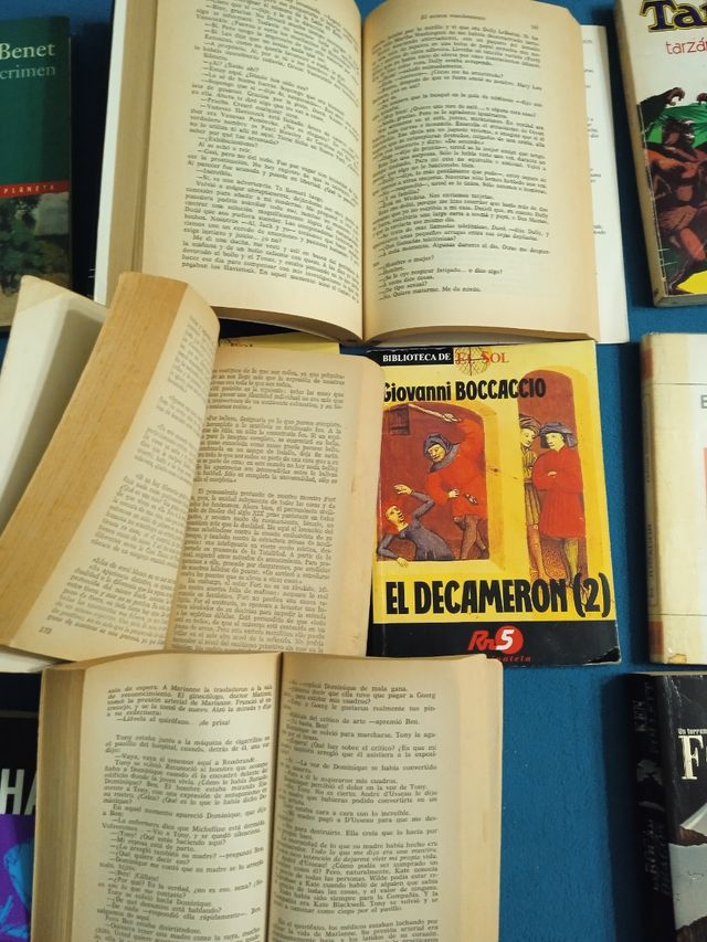 Lote de libros de todo 2