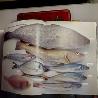 EL BULLI. "La comida de la familia"