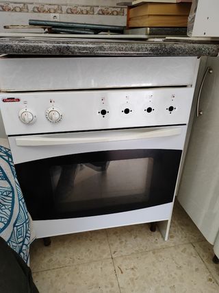 Conjunto vitro más horno