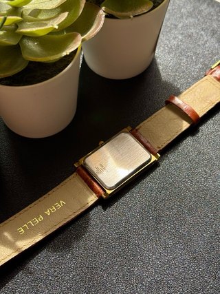Seiko Tank Leather
