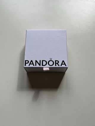 Braccialetto in Argento Sterling 925 Pandora