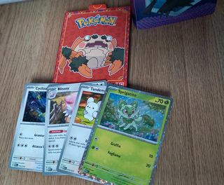 Lotto raccoglitore Pokémon e carte MC Donald