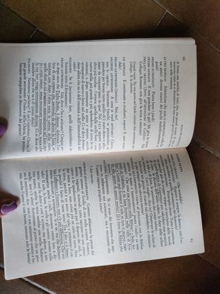 Vita di Galileo, Brecht