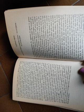 Il processo di Kafka