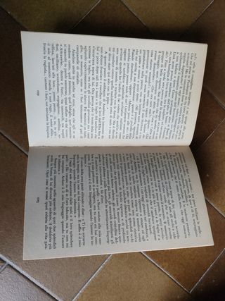 Hoffmann, il vaso d'oro