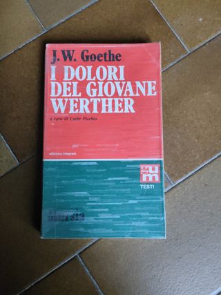 Goethe, i dolori del giovane Werther