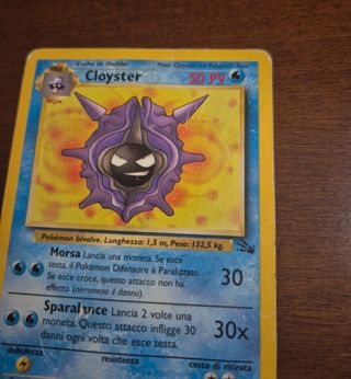 Carte Pokemon Shellder e Cloyster