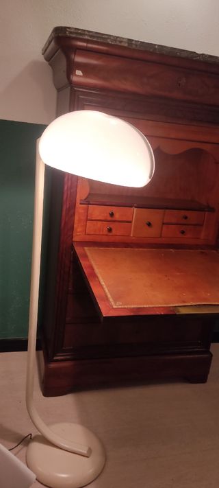 PIANTANA Stilnovo ANNI 60