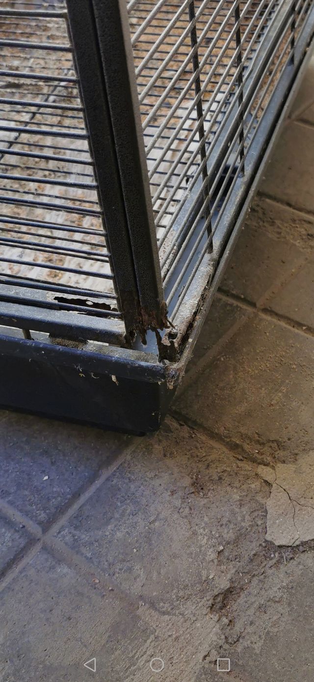 JAULA PARA LORO u otras aves  , ETC........ .