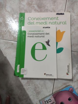 Coneixement Del Medi Natural, 6 Primària
