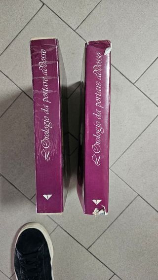 Libro: l'orologio da portare addosso