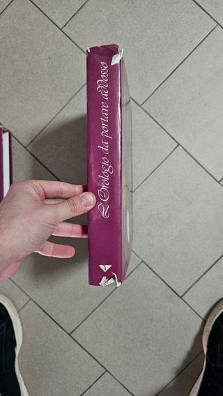 Libro: l'orologio da portare addosso