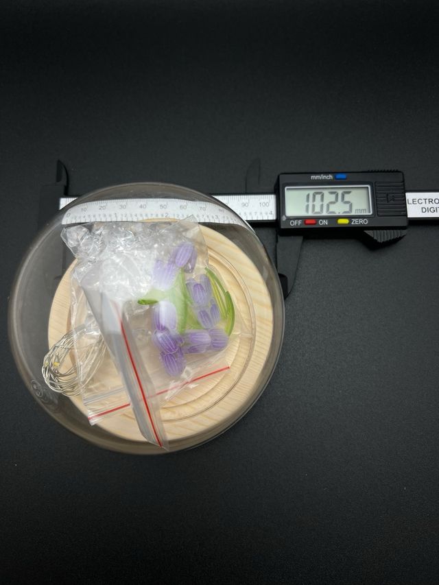 Cupola in vetro con base in legno e LED