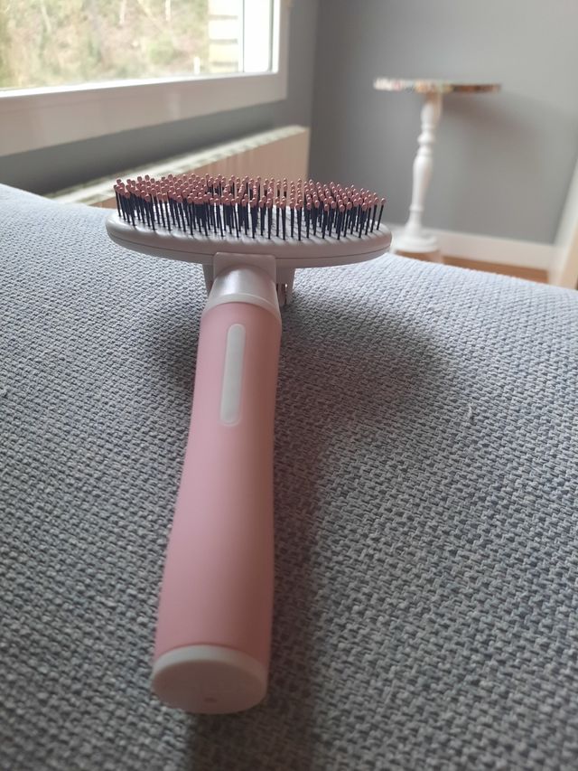 Cepillo para gatos y perros.