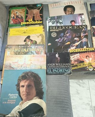 Colección de 13 LPs y 2 Singlers de Vinilo.