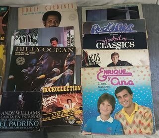 Colección de 13 LPs y 2 Singlers de Vinilo.