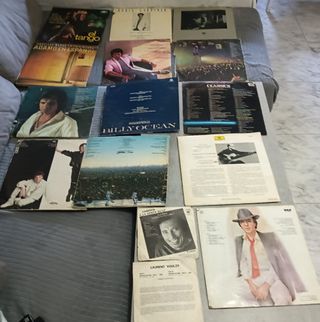 Colección de 13 LPs y 2 Singlers de Vinilo.