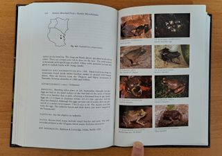 Amphibians of East Africa