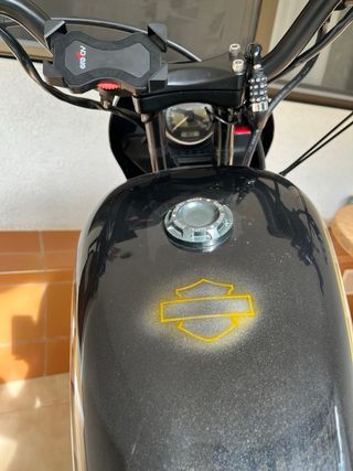 Harley Davidson Sportster 883R 2008 Club Style