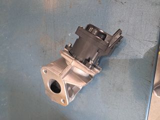 EGR 1.6 HDI Ref. 6NU 010 171-101