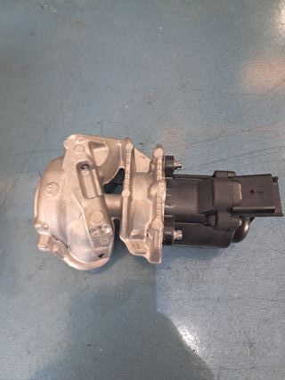 EGR 1.6 HDI Ref. 6NU 010 171-101