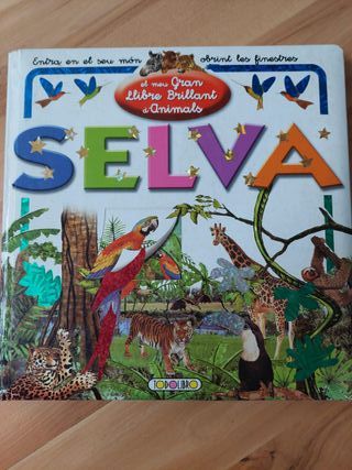 lote libros regalo