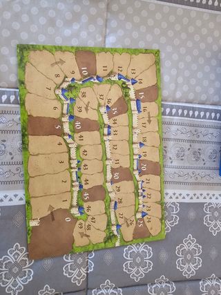 Juego de mesa carccassone