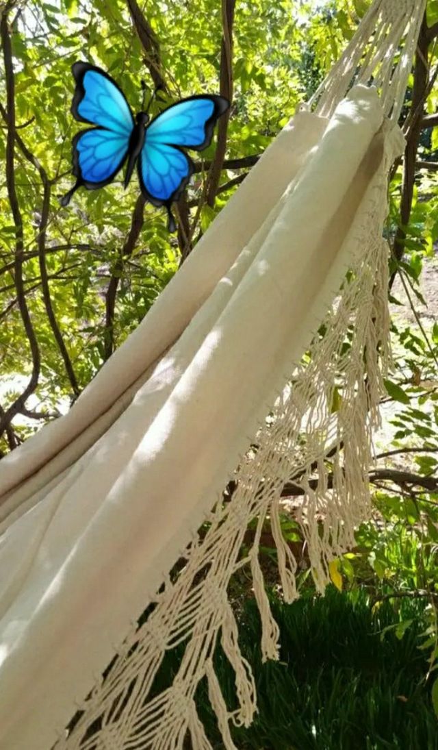 Hamacas colgantes Exterior/ Interior 🦋