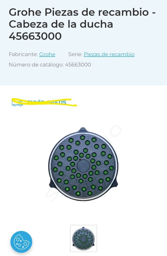 Recambio Cabeza de la ducha