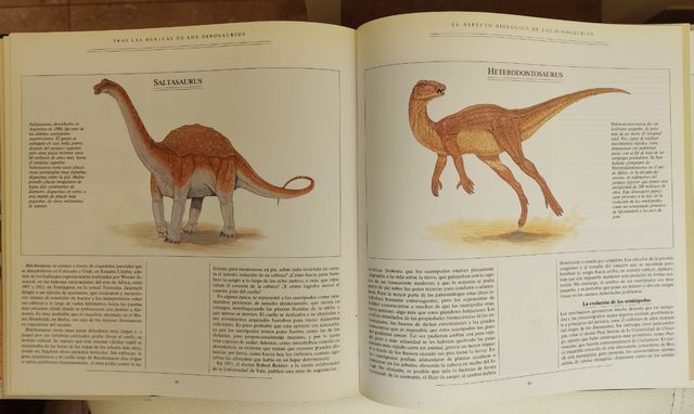 Tras la huella de los dinosaurios