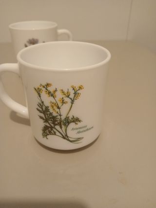 Tazas arcopal France plantas medicinales