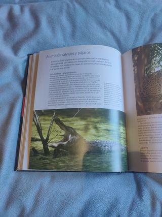 Manual de fotografía digital SLR