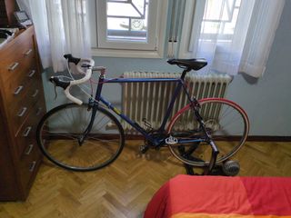 Bicicleta Razesa acero talla 56 y rodillo Elite 