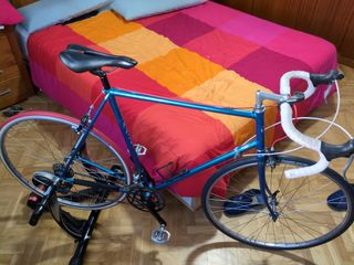 Bicicleta Razesa acero talla 56 y rodillo Elite 