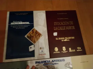 Libros varios sobre Palencia