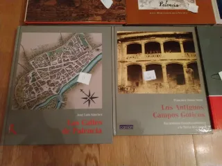 Libros varios sobre Palencia
