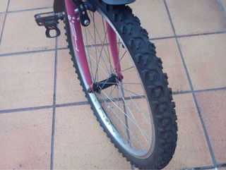 Bicicleta en un estado excelente