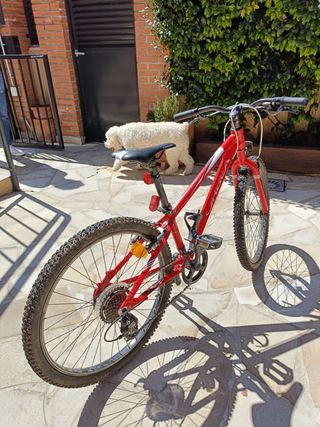 Bicicleta niño ORBEA MX 24 DIRT