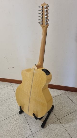 Takamine EG523SC 12
