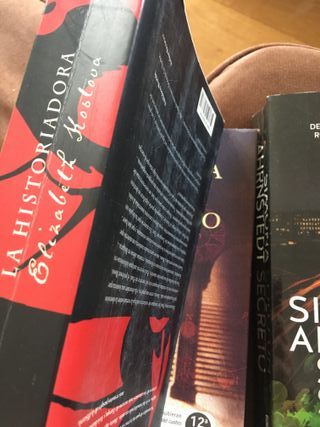 La historiadora (Umbriel narrativa) (Spanish Editi