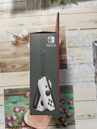 Mandos Nintendo Switch