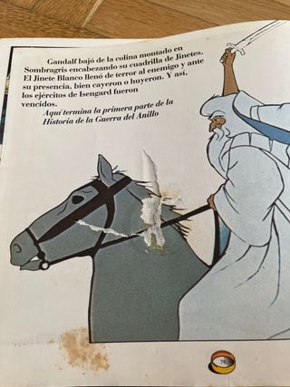 El Señor de los Anillos. Libro película animación