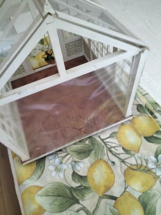 Piccola casa, serra, vecchi giocattoli