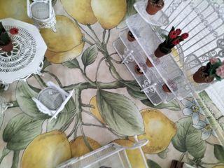 Piccola casa, serra, vecchi giocattoli