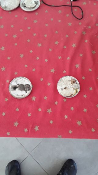 Bmw e21 emblemos delanteros y traseros 