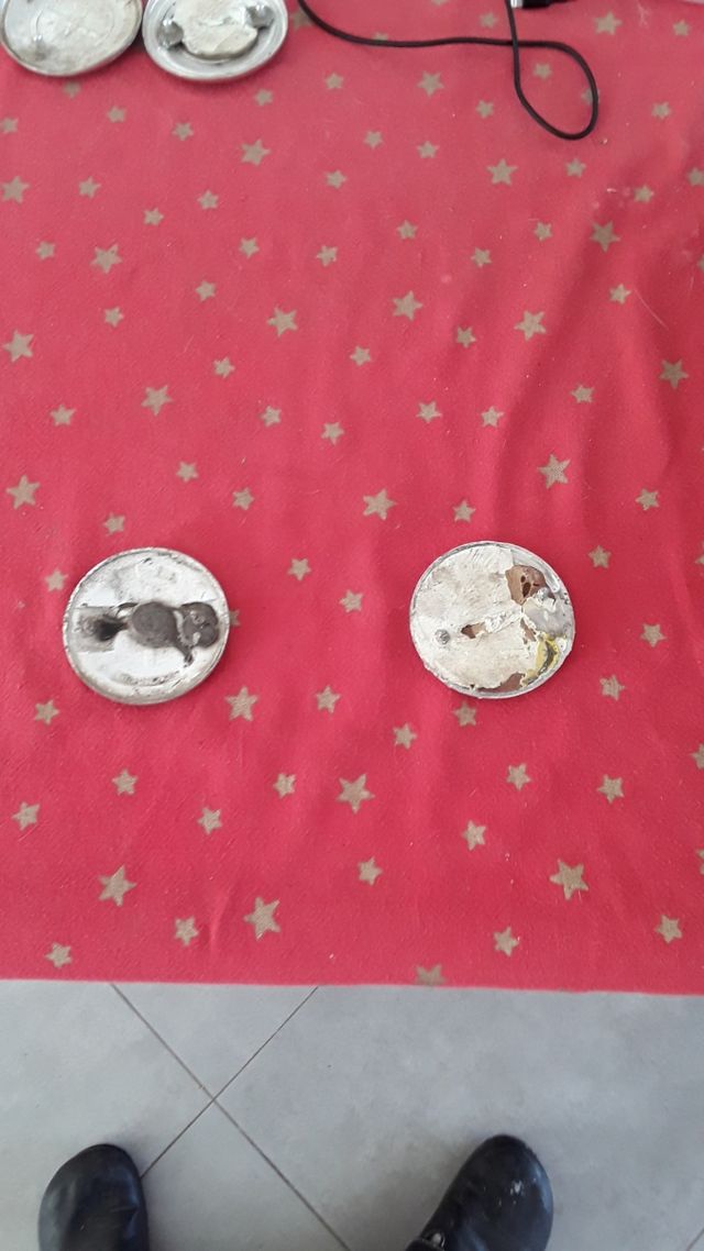 Bmw e21 emblemos delanteros y traseros