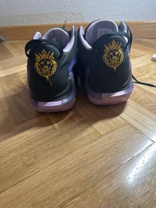 Lebron witness 7 talla 43