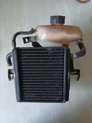 Radiador de anticongelante