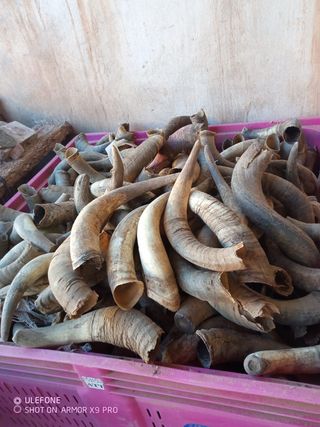 Cultivo Biodinámico