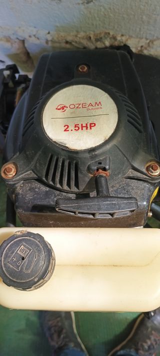 Se vende Zodiac y motor